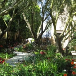 front-south-sideyard-garden-complete-1024x768